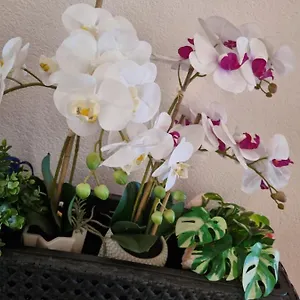 Apartment Orchidea, Monfalcone